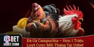Đá Gà Campuchia - Hơn 1 Triệu Lượt Cược Mỗi Tháng Tại Usbet