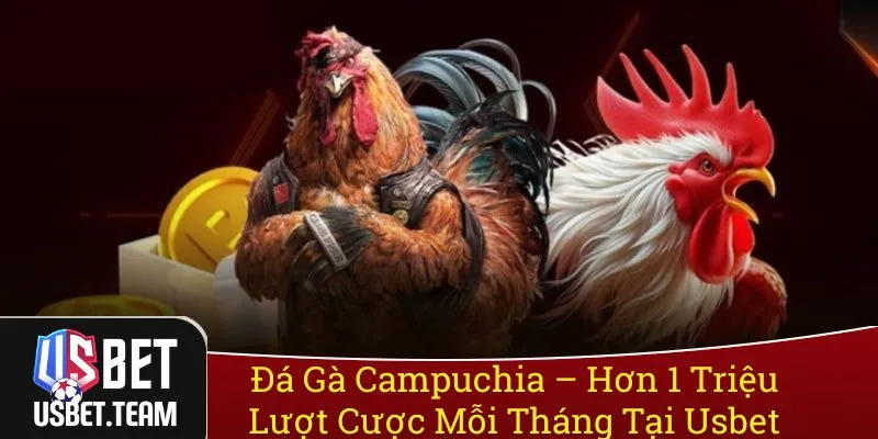 Đá Gà Campuchia - Hơn 1 Triệu Lượt Cược Mỗi Tháng Tại Usbet