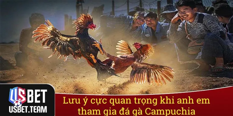 Lưu ý cực quan trọng khi anh em tham gia đá gà Campuchia