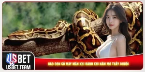 Mơ Thấy Trăn - Giải Mã Chi Tiết Và Con Số Lô Đề Chính Xác
