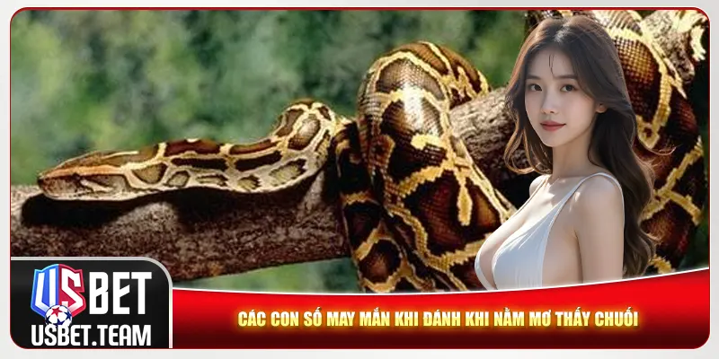 Mơ Thấy Trăn - Giải Mã Chi Tiết Và Con Số Lô Đề Chính Xác