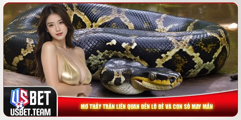 Mơ thấy trăn liên quan đến lô đề và con số may mắn Mơ thấy trăn liên quan đến lô đề và con số may mắn