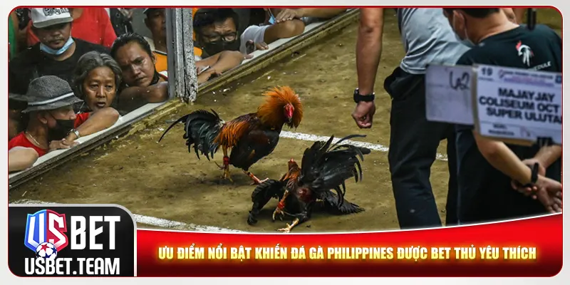 Ưu điểm nổi bật khiến đá gà Philippines được game thủ yêu thích Ưu điểm nổi bật khiến đá gà Philippines được game thủ yêu thích