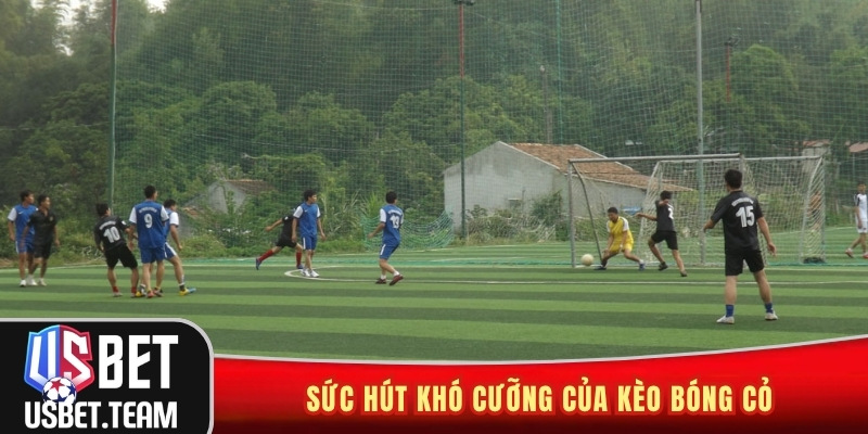 Sức hút khó cưỡng của kèo bóng cỏ